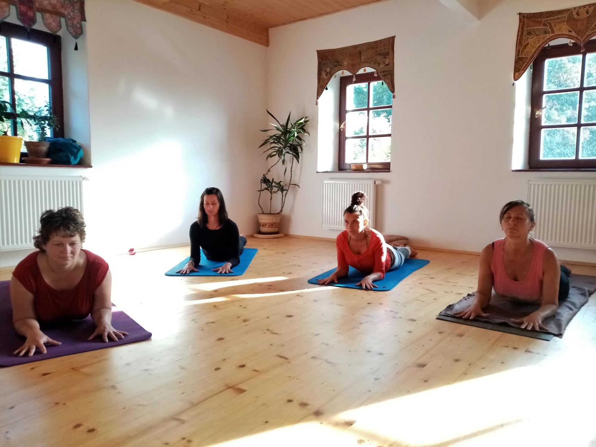 Yogashrama Traditional Ústí nad Orlicí Eksteriør bilde
