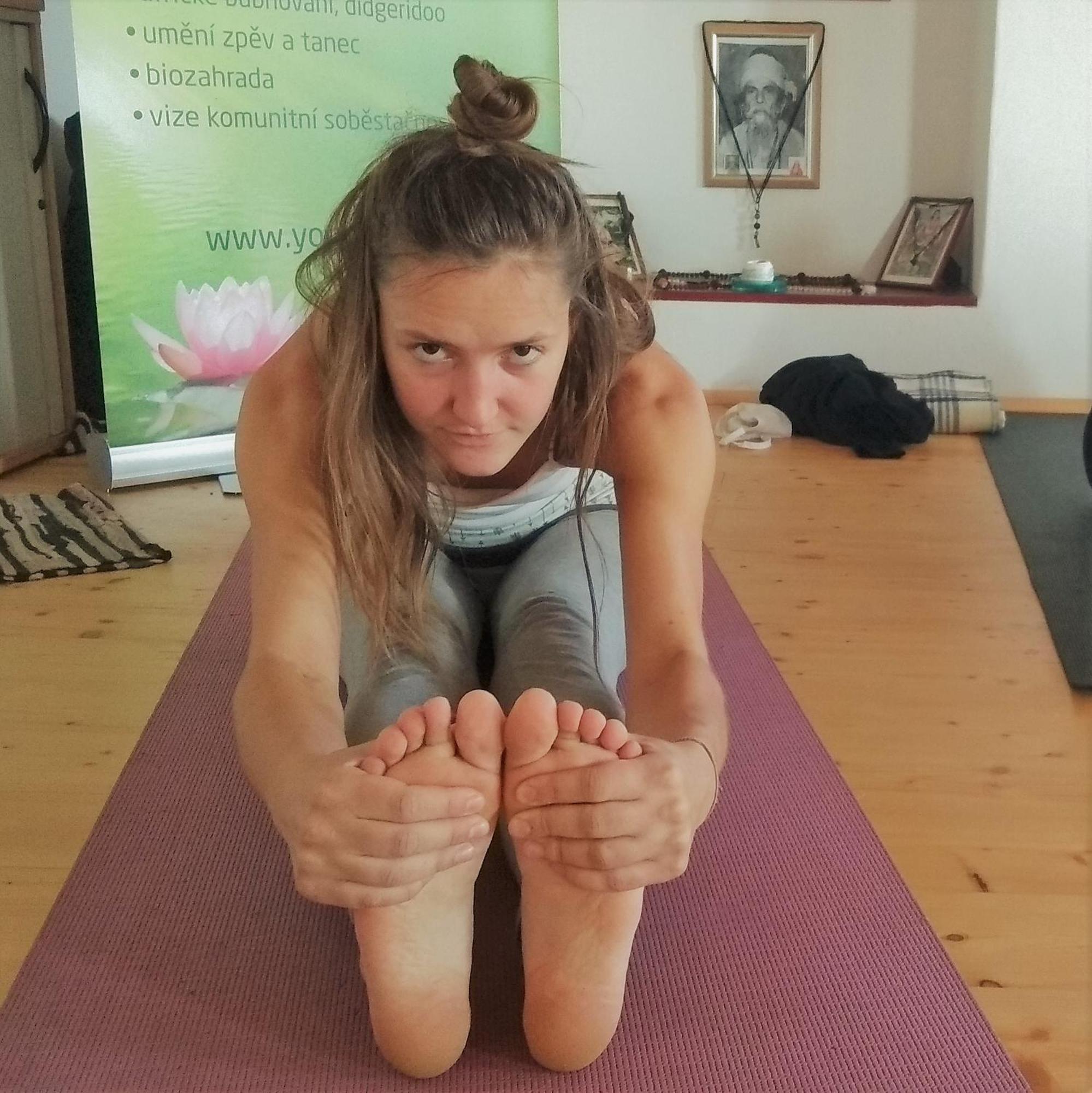 Yogashrama Traditional Ústí nad Orlicí Eksteriør bilde